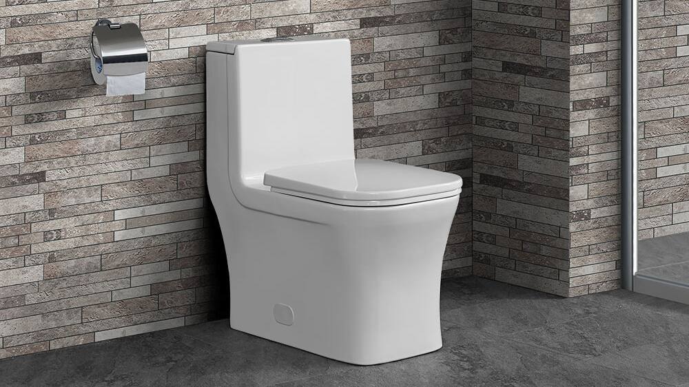 Cheap toilets store for sale